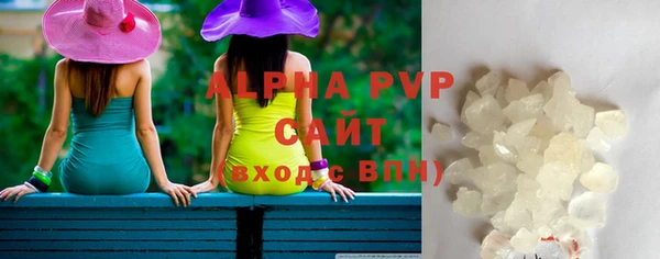 прущие грибы Горняк