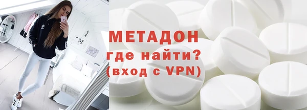 прущие грибы Горняк
