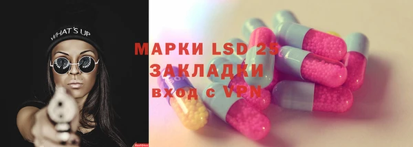прущие грибы Горняк