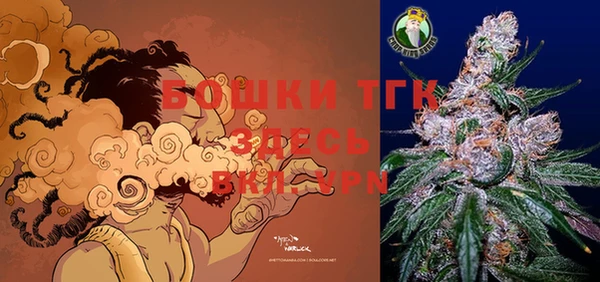 прущие грибы Горняк