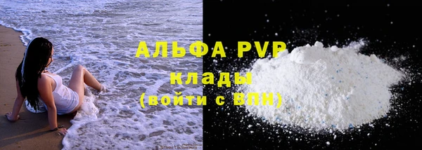 прущие грибы Горняк
