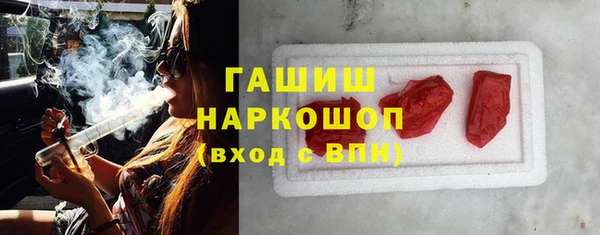 прущие грибы Горняк