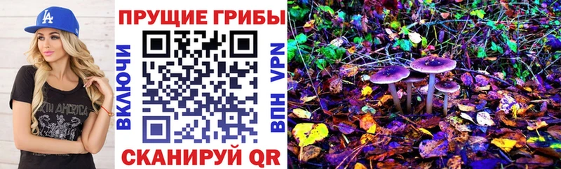 Галлюциногенные грибы Cubensis  цена наркотик  Нижневартовск 